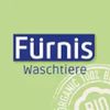 Fürnis
