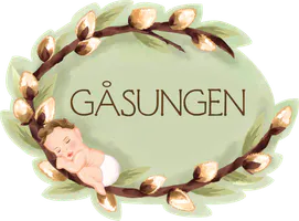 Oslo - Gåsungen