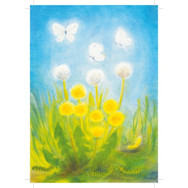 Raffael Verlag kunstkort - velg motiv