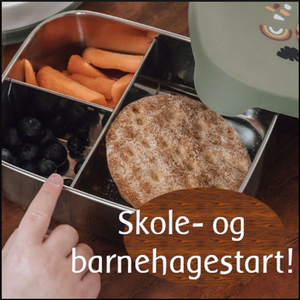 Skole- og barnehagestart